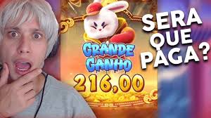 horário de jogar fortune rabbit